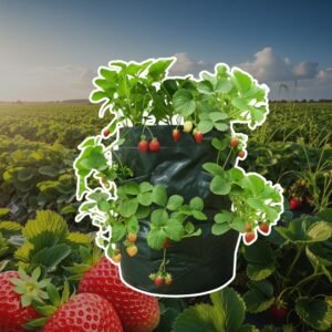 Strawberry or Flower Planter