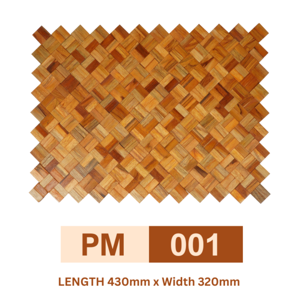 PM 001